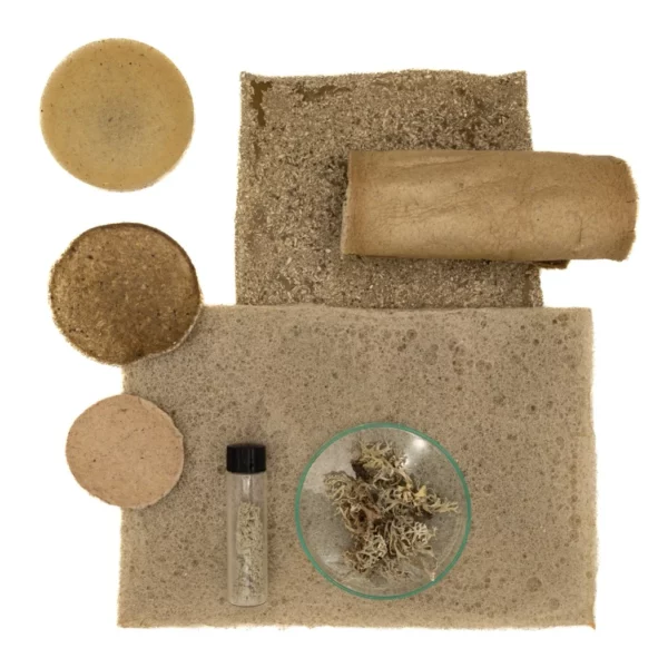 ecobdlab-ecomat-muestras-liquen