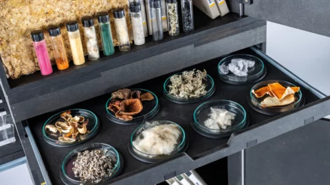 La Materioteca. Herramienta de innovación en diseño sostenible