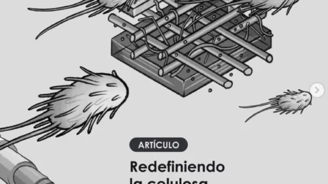 Redefiniendo la Celulosa. La rama verde de los nuevos materiales