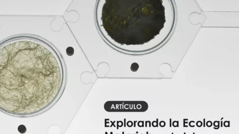 Explorando la Ecología Material: materiales biobasados, taxonomías y procesado
