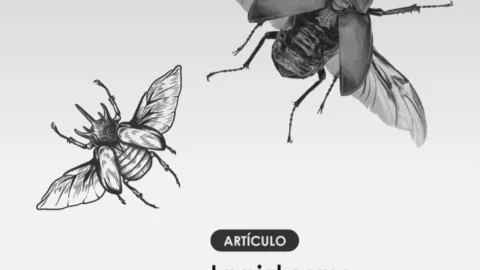 Artículo: La piel como membrana funcional (Ángela Monje Pascual)