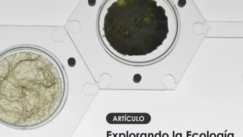 Artículo: Explorando la Ecología Material (Esther Pizarro)
